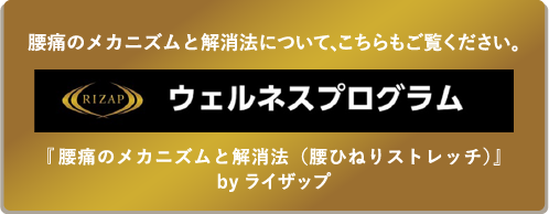 RIZAP/ウェルネスプログラム