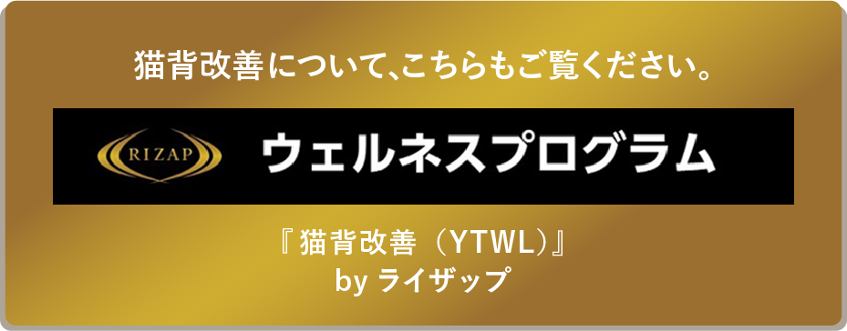 RIZAP/ウェルネスプログラム
