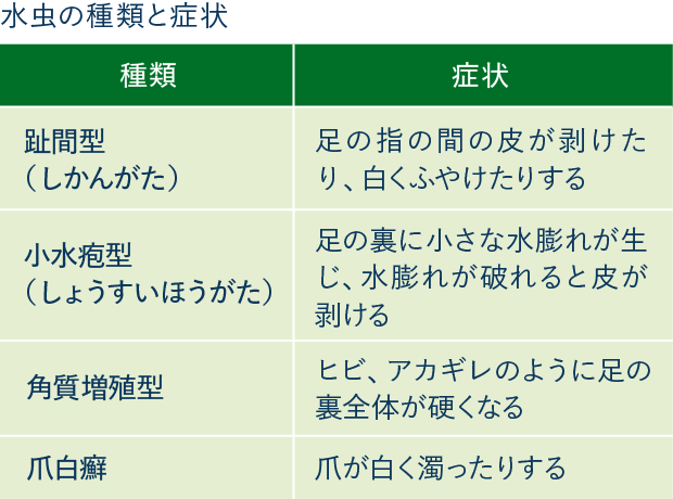 水虫の種類と症状