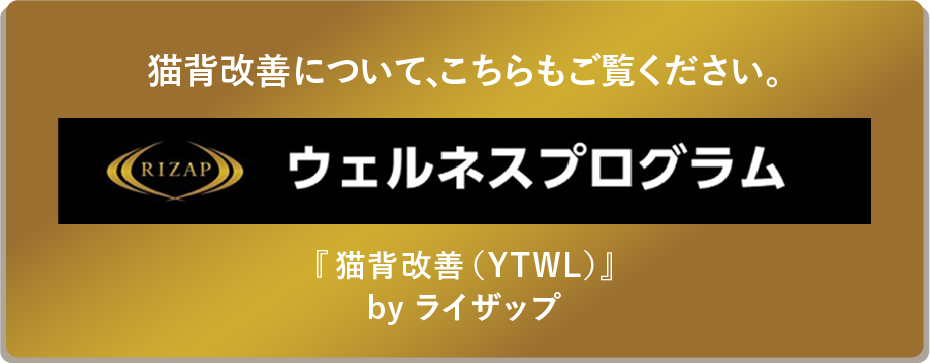 RIZAP/ウェルネスプログラム