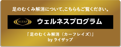 RIZAP/ウェルネスプログラム